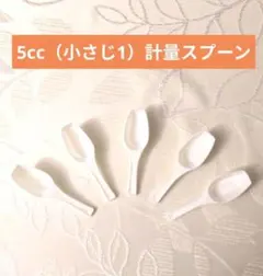 計量スプーン（小さじ1）5本セット