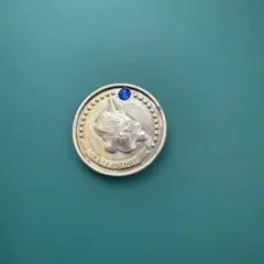 ポケモン カゲボウズ メダル　希少　レトロ
