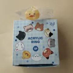 キムテレ アイドル