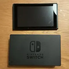 Nintendo Switch グレー 本体(ジャンク品)とドックのみ