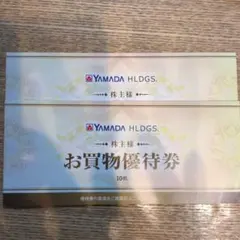 ヤマダ電機　YAMADA HLDGS. お買物優待券 10000円分