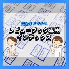 レビューブック専用インデックス　青枠