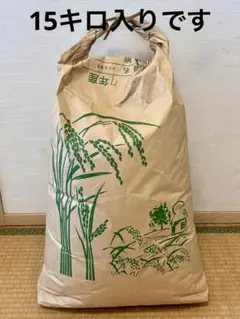 令和7年産 長崎県産なつほのか 米20kg - メルカリ
