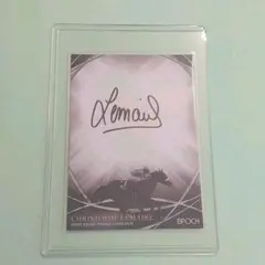 アーモンドアイ×クリストフルメール 世界限定 ホースレーシングカード 台座付 2025年最新】ホースレーシングカード アーモンドアイの人気