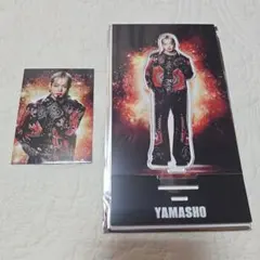 山本彰吾 アクリルスタンド EXILE THE REASON