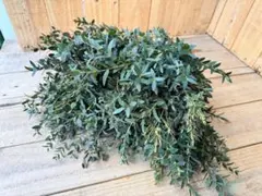 ❤️アトリエ＊リトルジェム❤️様 リクエスト 2点 まとめ商品