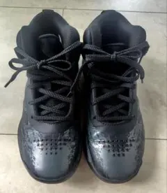 Item thumbnail for item 1a2bdedc-0451-4d57-8b55-db9c1ad0d103