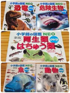 小学館の図鑑NEO DVDのみ 12枚セット　魚　恐竜　危険生物　動物　花 小学館の図鑑NEO) ［新版］恐竜 DVDつき : 枚方 蔦屋書店 Yahoo