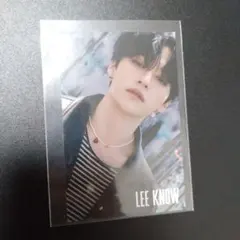 スキズ　straykids リノ　maxident タワレコ特典