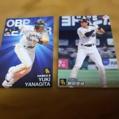 2026年最新】柳田悠岐 プロ野球チップスの人気アイテム - メルカリ