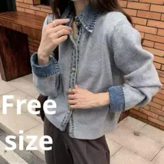 ニット シャツ デニム襟 ボタンニットカーディガン ライトグレー Lumier