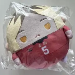 ハイキュー　孤爪研磨　ふわコロりん