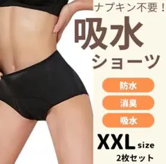 吸水ショーツ XXLサイズ 2枚セット 黒
