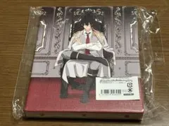 新品 家庭教師ヒットマンREBORN 描き下ろし XANXUS キャンバスボード