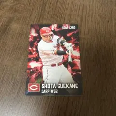 プロ野球チップス 広島東洋カープ選手+スターカード 各球団のスターカードセット プロ野球チップス2026 広島カープ 末包昇大 スターカード - メルカリ
