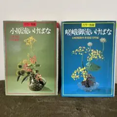 いけばな カラー独習 2冊セット