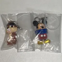 ディズニーキャラクター めじるしアクセサリー Summer Winter