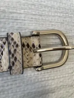 H&M ヘビ革風デザイン ベルト ゴールドバックル