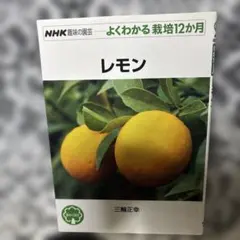 レモン