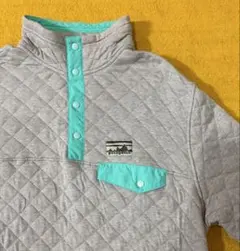 値下げpatagonia オーガニックコットン キルト　シンチラスナップT