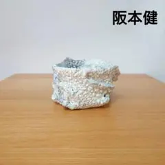 2025年最新】阪本健 鉢の人気アイテム - メルカリ