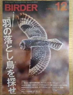 BIRDER 2011年12月号