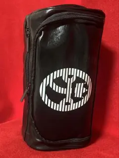 正規未使用カステルバジャックスポーツBLACK LINEボストン/トート