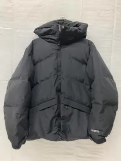 ◆+phoenix freaks Store GORE-TEX ダウン10026