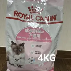 2025年最新】マザーキャットの人気アイテム - メルカリ