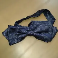 Item thumbnail for item 0375c81e-388c-4bb6-8896-e86e9f30cde6