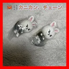 スキズ　 SKZOO つまんでつなげてますこっと　リービット　2種セット