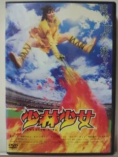 少林少女 DVD/柴咲コウ 仲村トオル 岡村隆史 江口洋介
