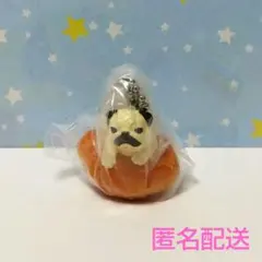 いぬぱんリターンズ【パグ×カレーパン】