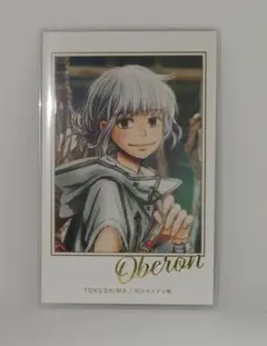 2026年最新】fgo ポートレイト オベロンの人気アイテム - メルカリ