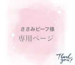 ささみビーフ様専用ページ/水色