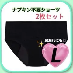 サニタリーショーツ ナプキン不要 吸水 コットン 2枚セット L 生理用ショーツ