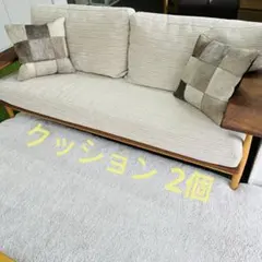 【ACTUS・2個セット】牛革クッション フェザー100％ 45×45