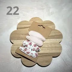 Item thumbnail for item e566bfa3-4524-4936-ba17-9dd7ee624e6d