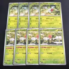 ポケモンカード　シェイミ2種8枚セット