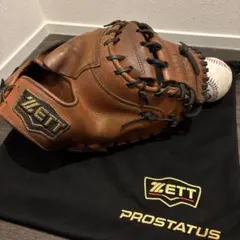 硬式 キャッチャーミット zett プロステイタス ハタケヤマ ミズノプロ