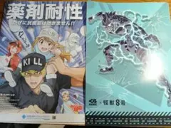 働く細胞×AMR臨床リファレンスセンター　怪獣8号×くら寿司コラボクリアファイル