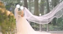 ウェディングベール ロング丈　箱付き