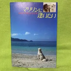 Item thumbnail for item 6385fe33-f27e-4a5e-8e1c-ebf9f8161ea3