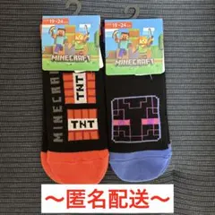 【新品】マイクラ靴下　19㎝〜24㎝　2足セット