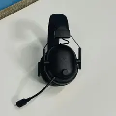 Item thumbnail for item b86132f1-a0e9-4341-969b-015a41be0624