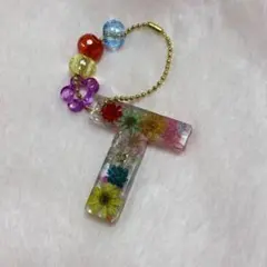 T アルファベットチャーム　イニシャルキーホルダー　名前　ハンドメイド　推し活