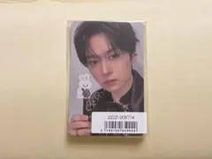 StrayKids スキズ SKZOO 日本 シーグリ ソニミュ トレカ リノ StrayKids スキズ SKZOO 日本 シーグリ ソニミュ トレカ リノ - メルカリ