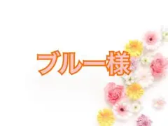 ブルー様専用ページ