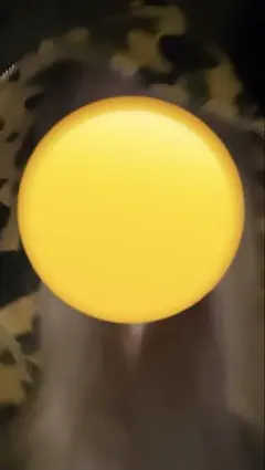 部*勢様 APE シャークパーカー