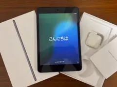 iPad mini（第5世代） 256GB　SIMフリー　スペースグレイ（中古）